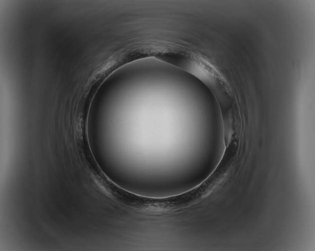 X0000085050489200703051420