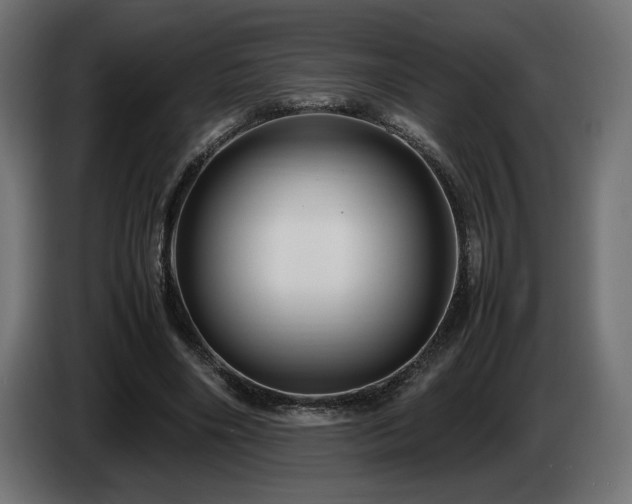 X0000085050490200703051420
