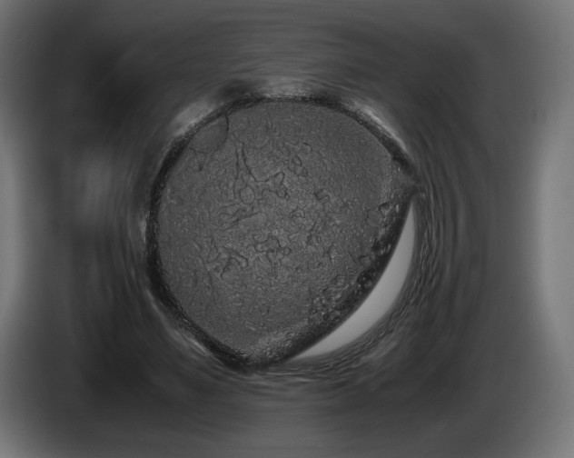 X0000085050491200703051420