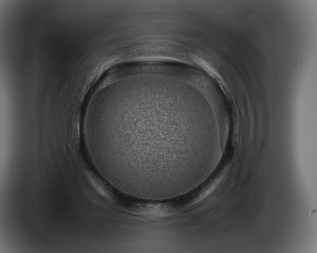 X0000085050493200703051420