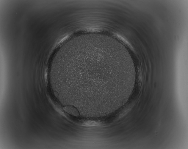 X0000085050494200703051420