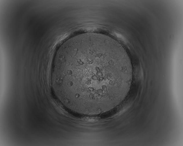 X0000085050495200703051420