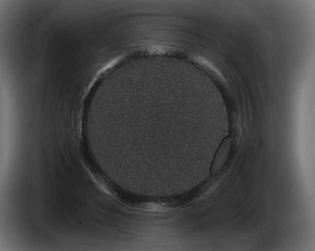 X0000085050496200703051420