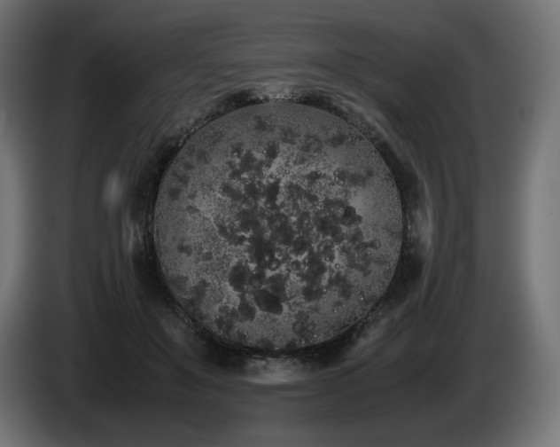 X0000085050503200703051420