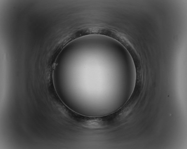 X0000085050505200703051420