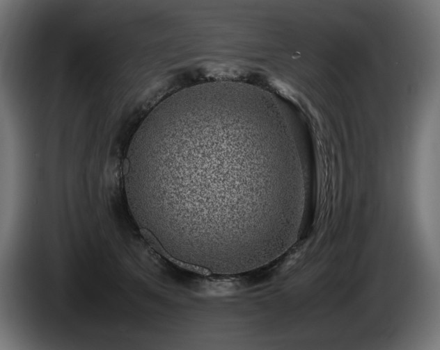 X0000085050513200703051420