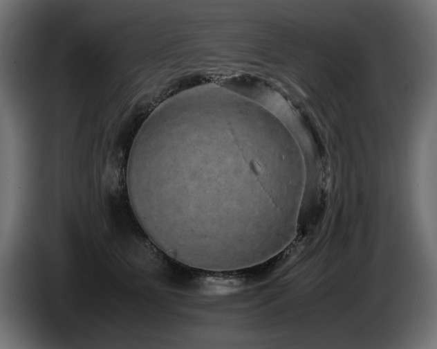 X0000085050515200703051420
