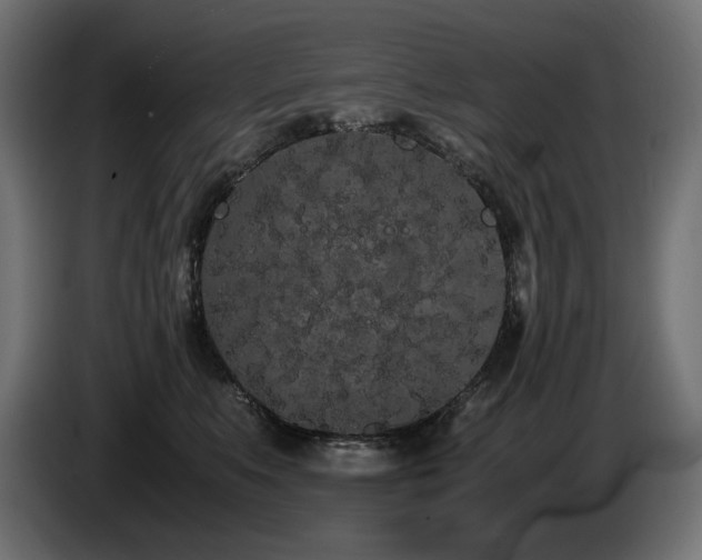 X0000085050519200703051420