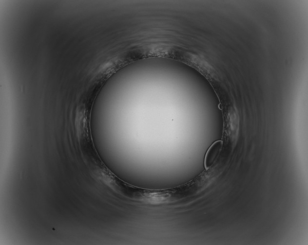 X0000085050522200703051420