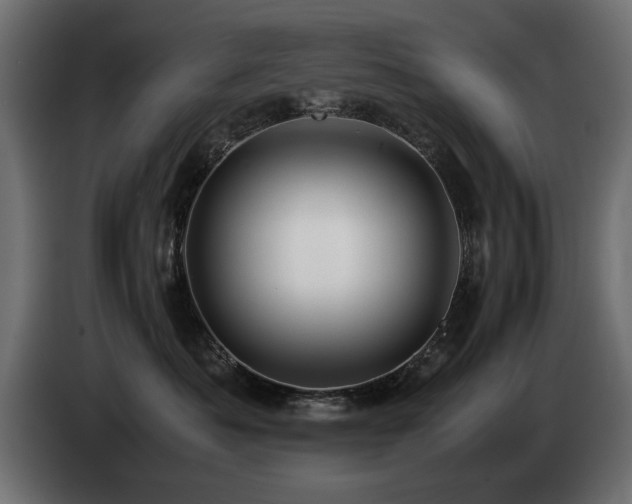 X0000085050525200703051420