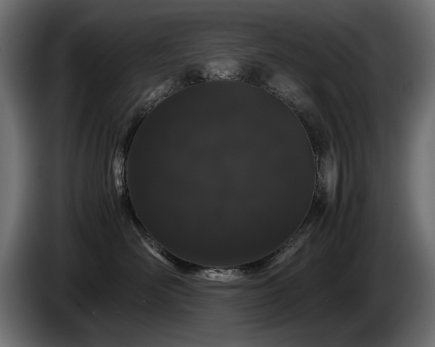 X0000085050526200703051420