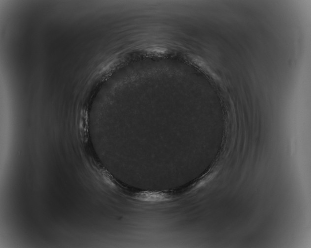 X0000085050528200703051420