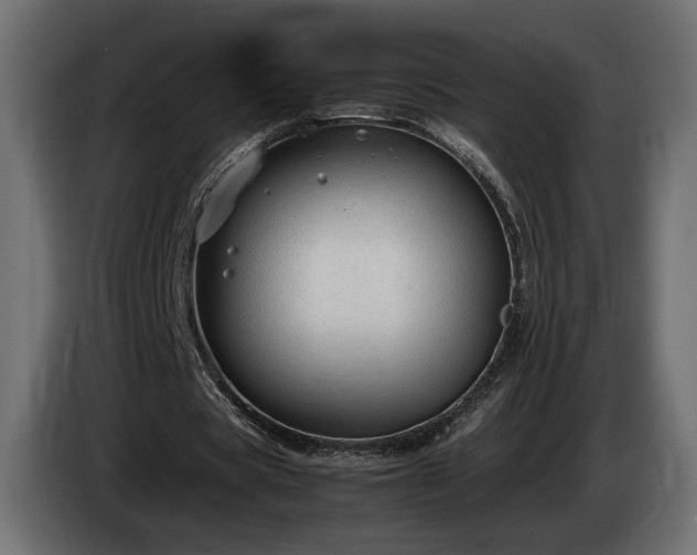 X0000085050529200703051419