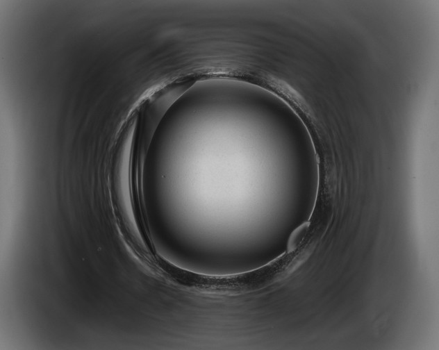 X0000085050530200703051419