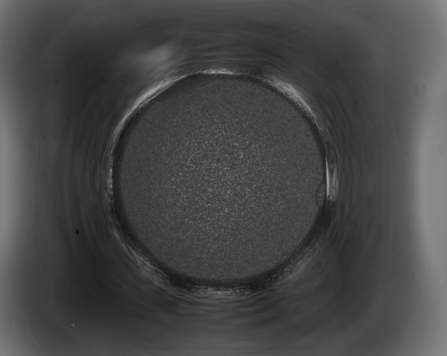 X0000085050531200703051419