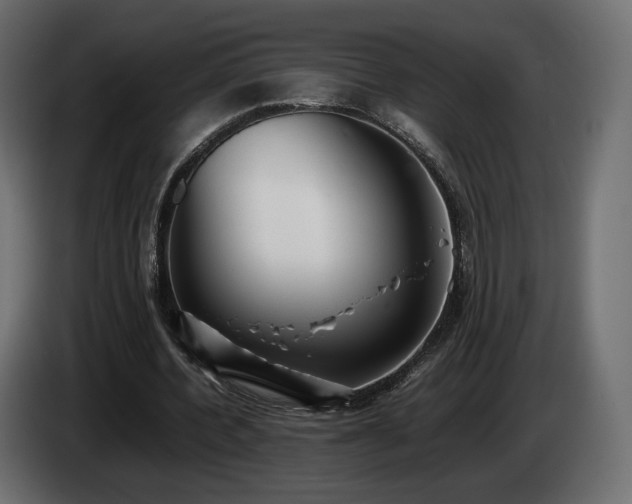 X0000085050532200703051419