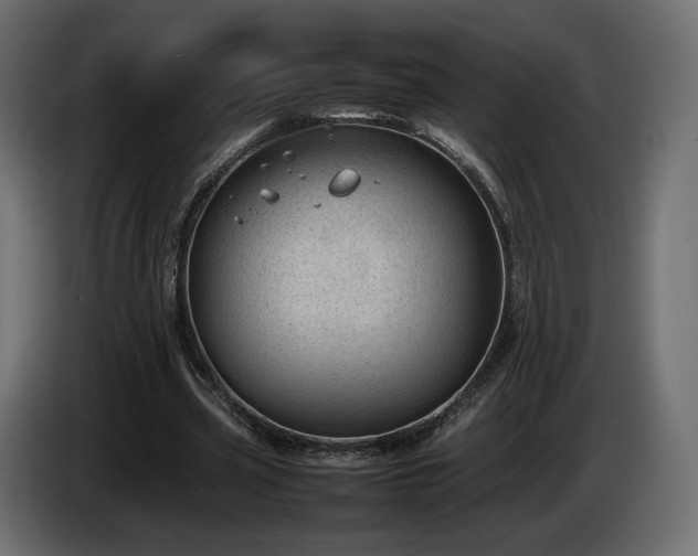 X0000085050533200703051419