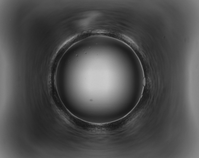 X0000085050535200703051419