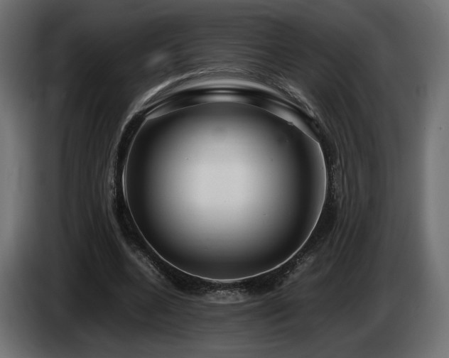 X0000085050536200703051419