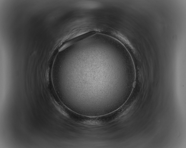 X0000085050537200703051419