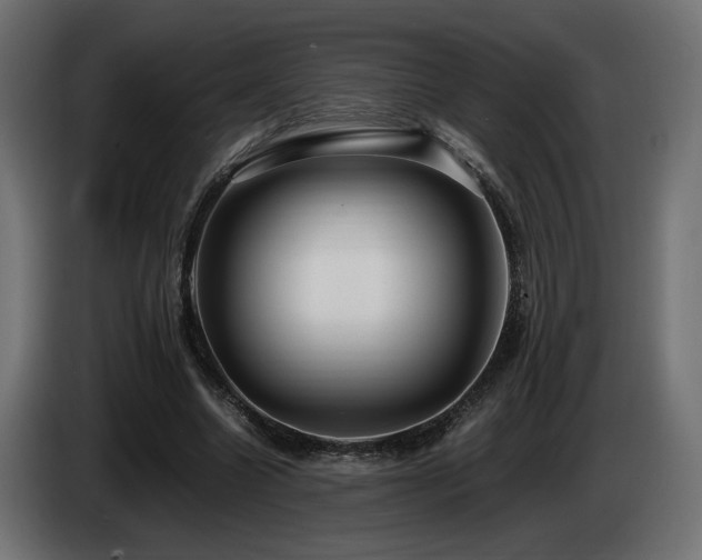 X0000085050538200703051419