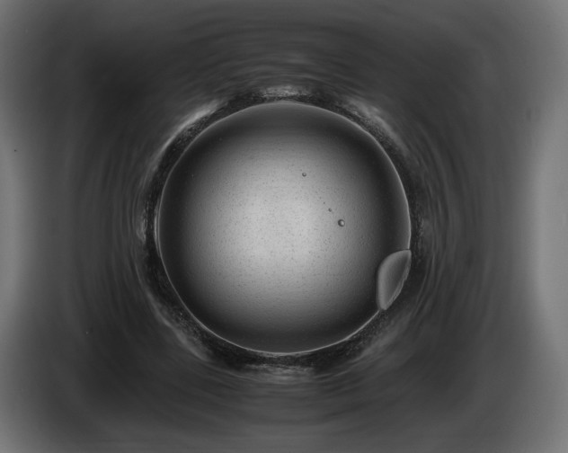 X0000085050539200703051419