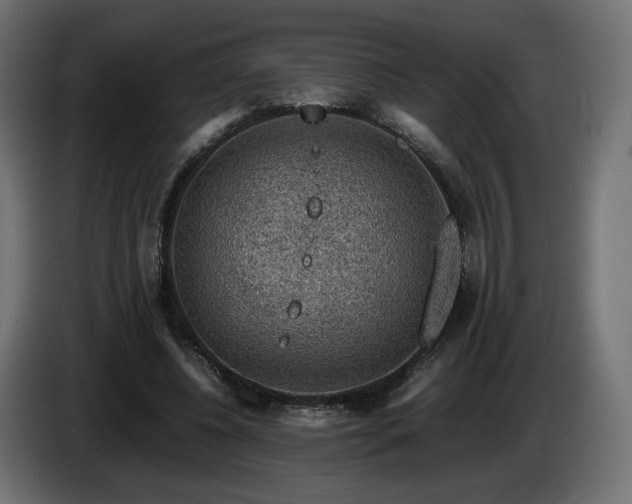 X0000085050540200703051419