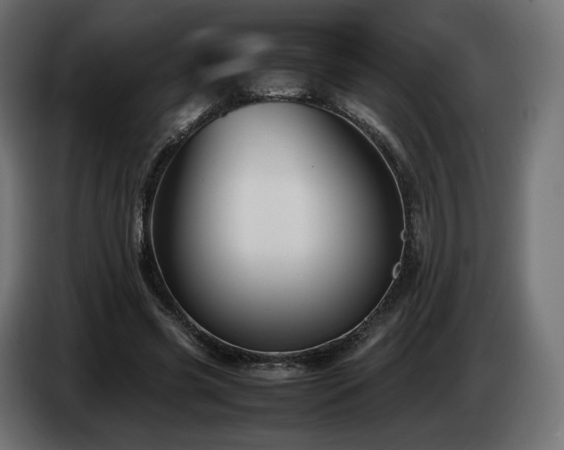 X0000085050541200703051419