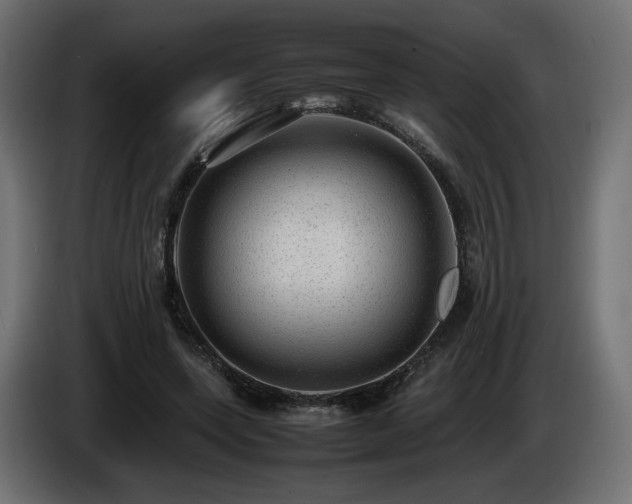 X0000085050543200703051419