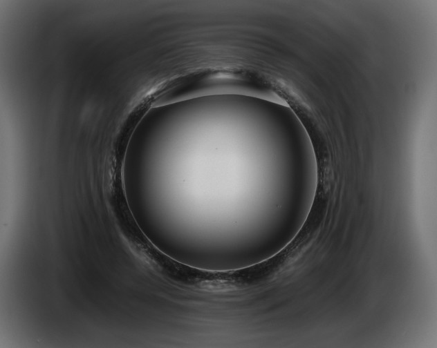 X0000085050544200703051419