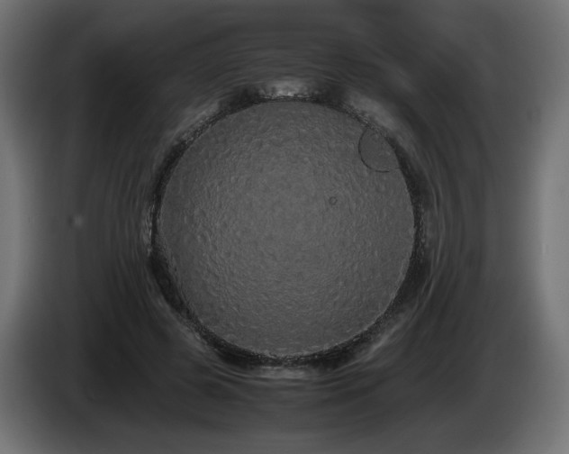 X0000085050545200703051419