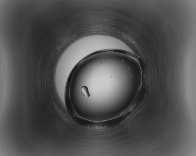 X0000085050546200703051419