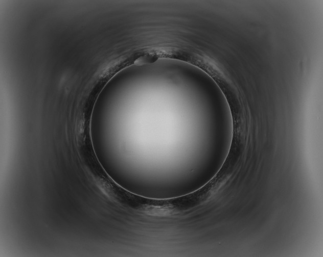 X0000085050548200703051419