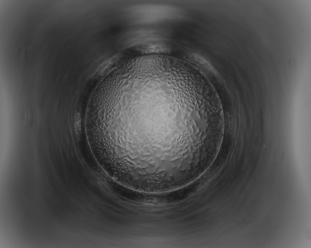 X0000085050549200703051419