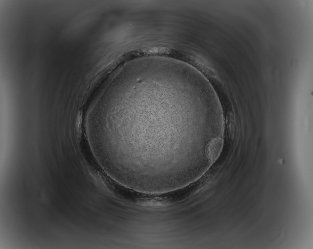 X0000085050550200703051419