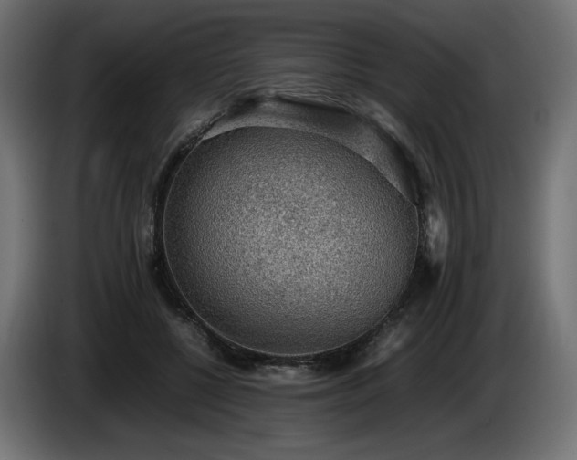 X0000085050552200703051419