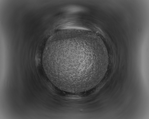 X0000085050553200703051419