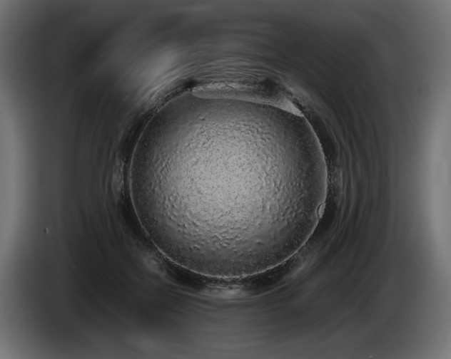 X0000085050554200703051419