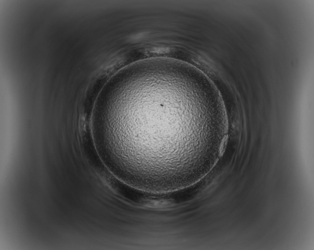X0000085050555200703051419