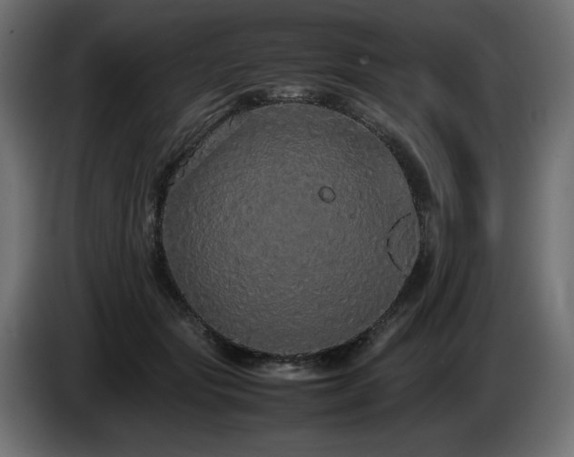X0000085050557200703051419