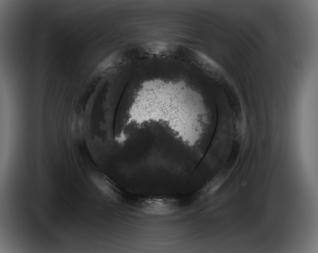 X0000085050558200703051419
