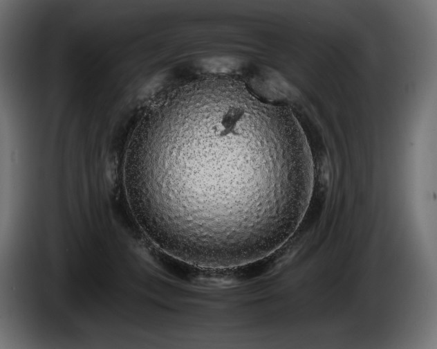 X0000085050559200703051419