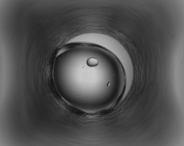 X0000085050560200703051419