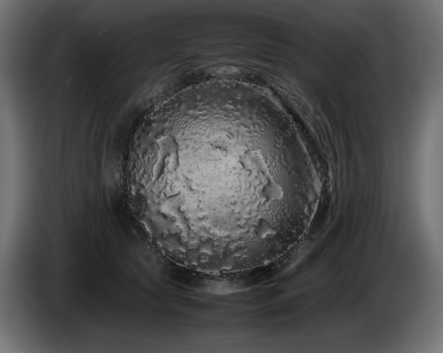 X0000085050561200703051419