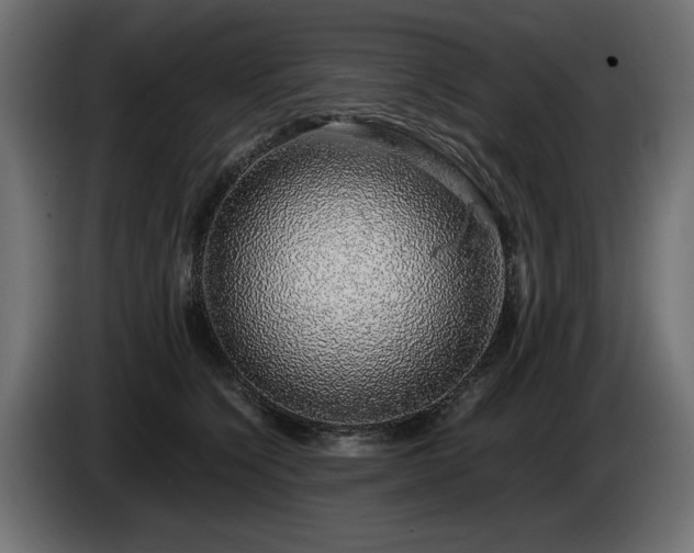 X0000085050564200703051420