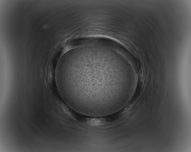 X0000085050566200703051420