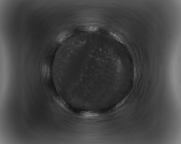 X0000085050568200703051420