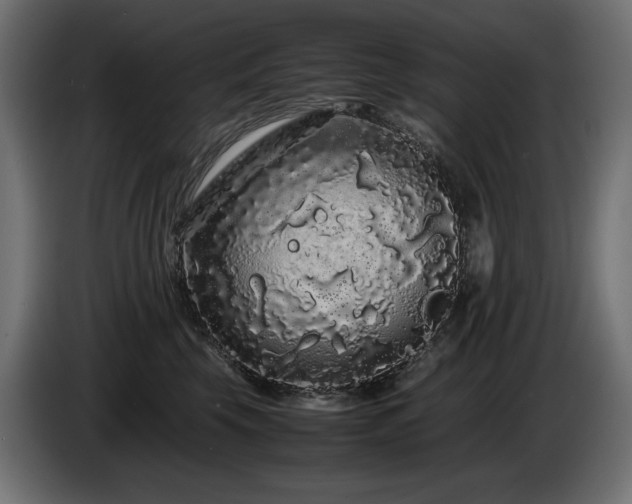 X0000085050569200703051420