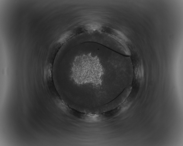 X0000085050570200703051420