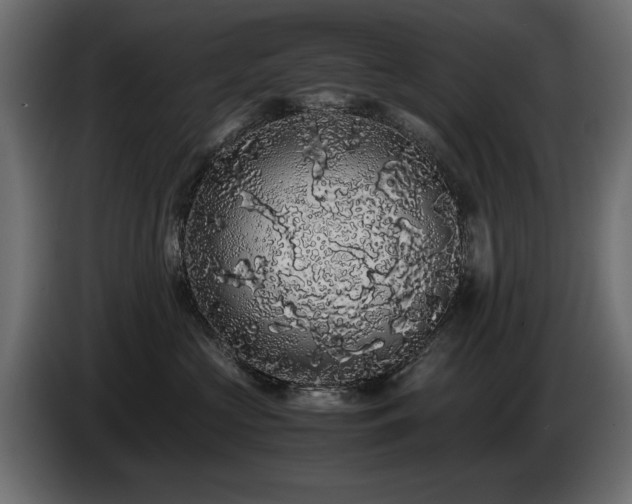 X0000085050573200703051420